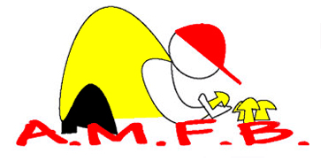 Logo AMFB